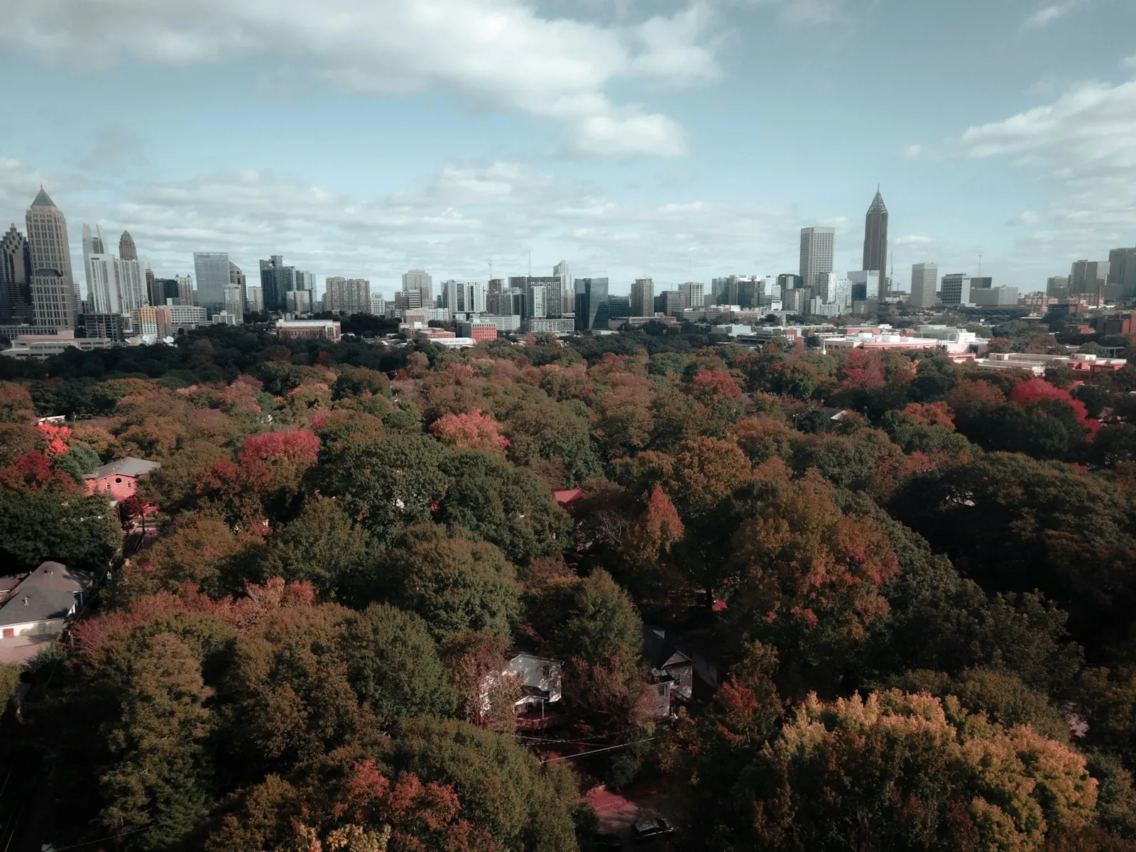 Atlanta skyline above the city's tree canopy, photographed by Chrishaun Byrom