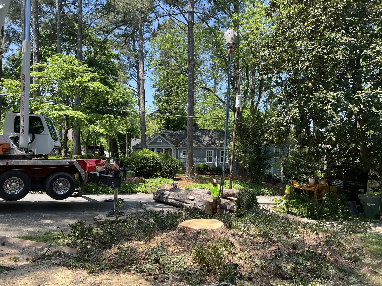 Peachtree Arborists crane crew completing a controlled residential tree removal