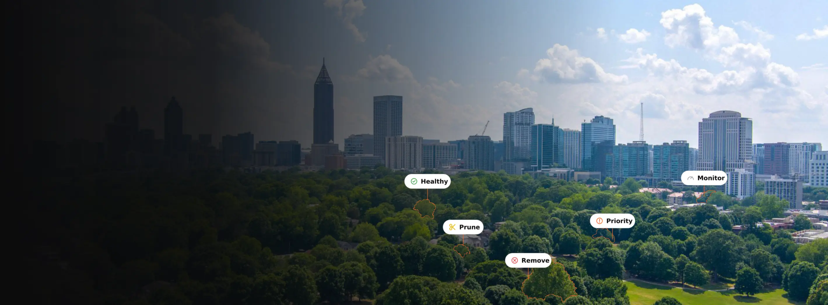 Atlanta tree canopy with Healthy, Monitor, Prune, Priority, and Remove callouts and orange tree outlines