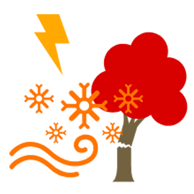 storm emergency tree services