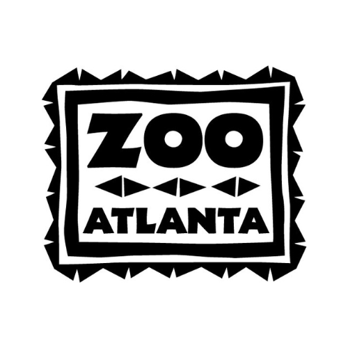 Tree limb feeding program for the animals at Zoo Atlanta with Peachtree Arborists