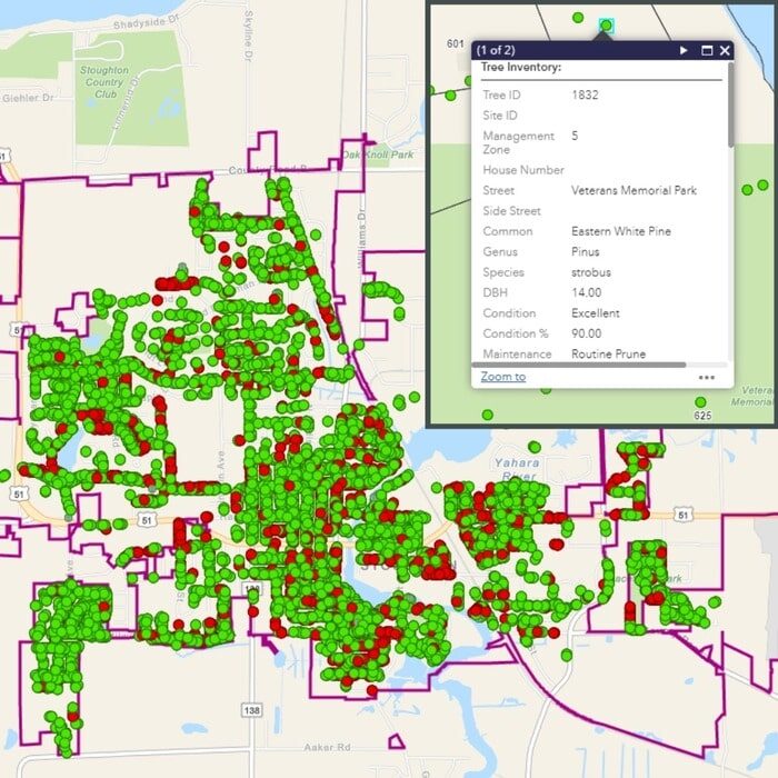 GIS Tree Inventory